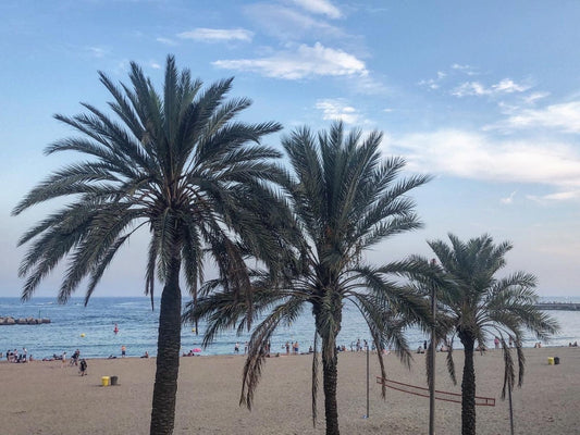 Comfortabel op vakantie gaan!